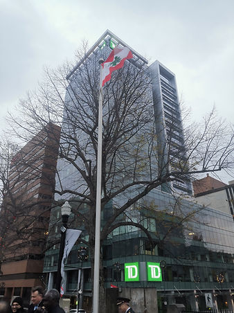 050bb5 0869881875fb42f8b3a29f81bb716ef4~mv2