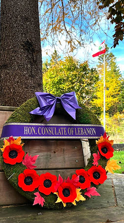 050bb5 5559c18166f840f0bd5c575c2074da42~mv2