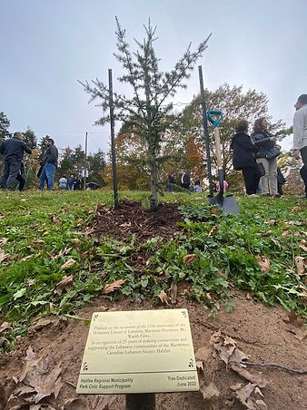 050bb5 5654e03c68fb47a4b62b141cd337a102~mv2