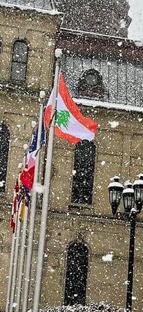 050bb5 9e69fa9f39734c3a8ec2ab92df59114c~mv2